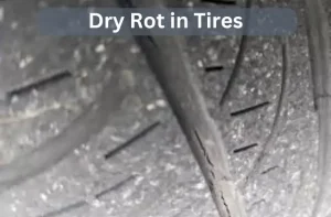 the tread has dry rot in tires